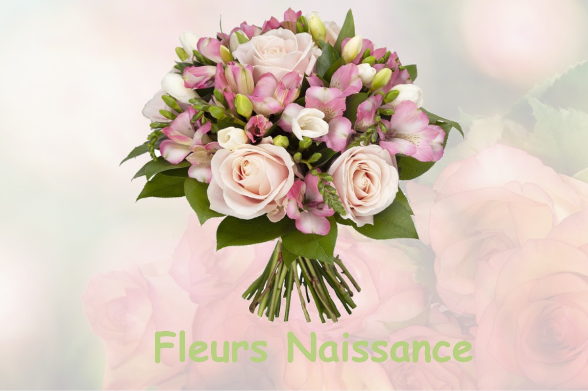 fleurs naissance MOUTONNE