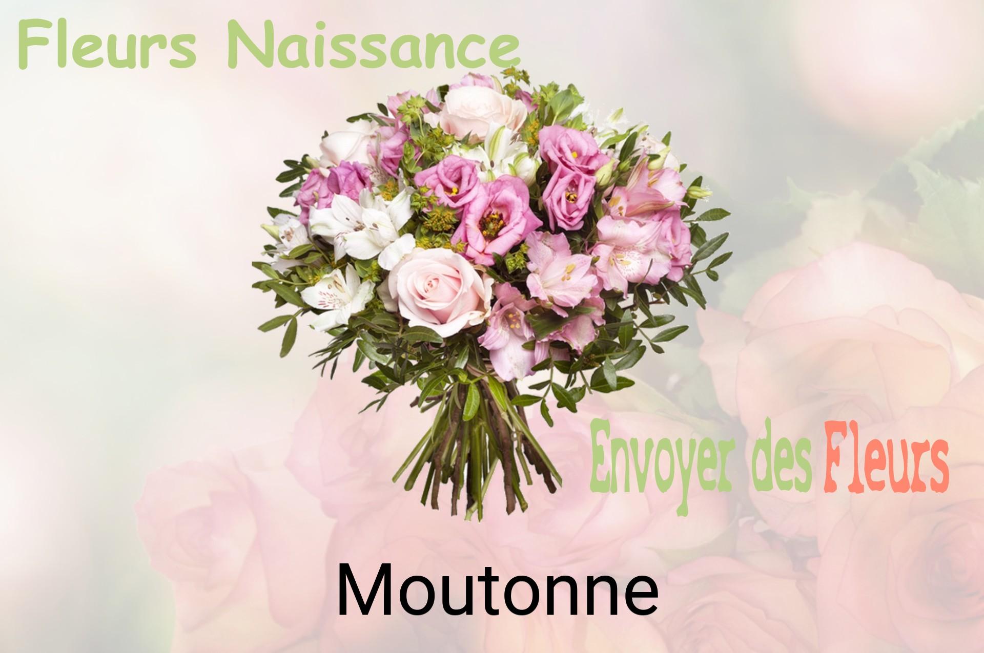 Bouquet de fleurs de naissance livré à Moutonne