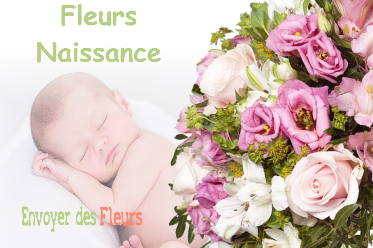 lIVRAISON FLEURS NAISSANCE à MOUTONNE